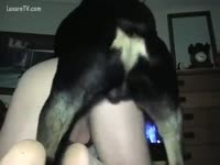 A large obese motherfucker copiously by his dog